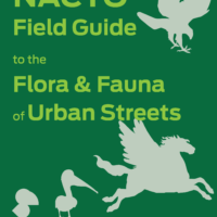 NACTO Releases Field Guide to the Flora and Fauna of Urban Streets