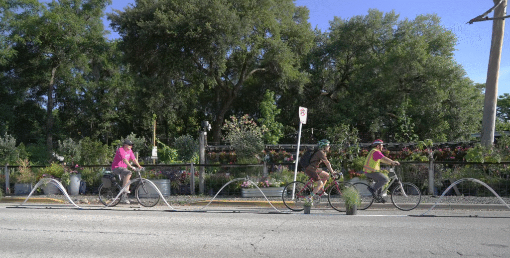 People ride bikes in a temporary bike lane. Gardens are visible in the background.