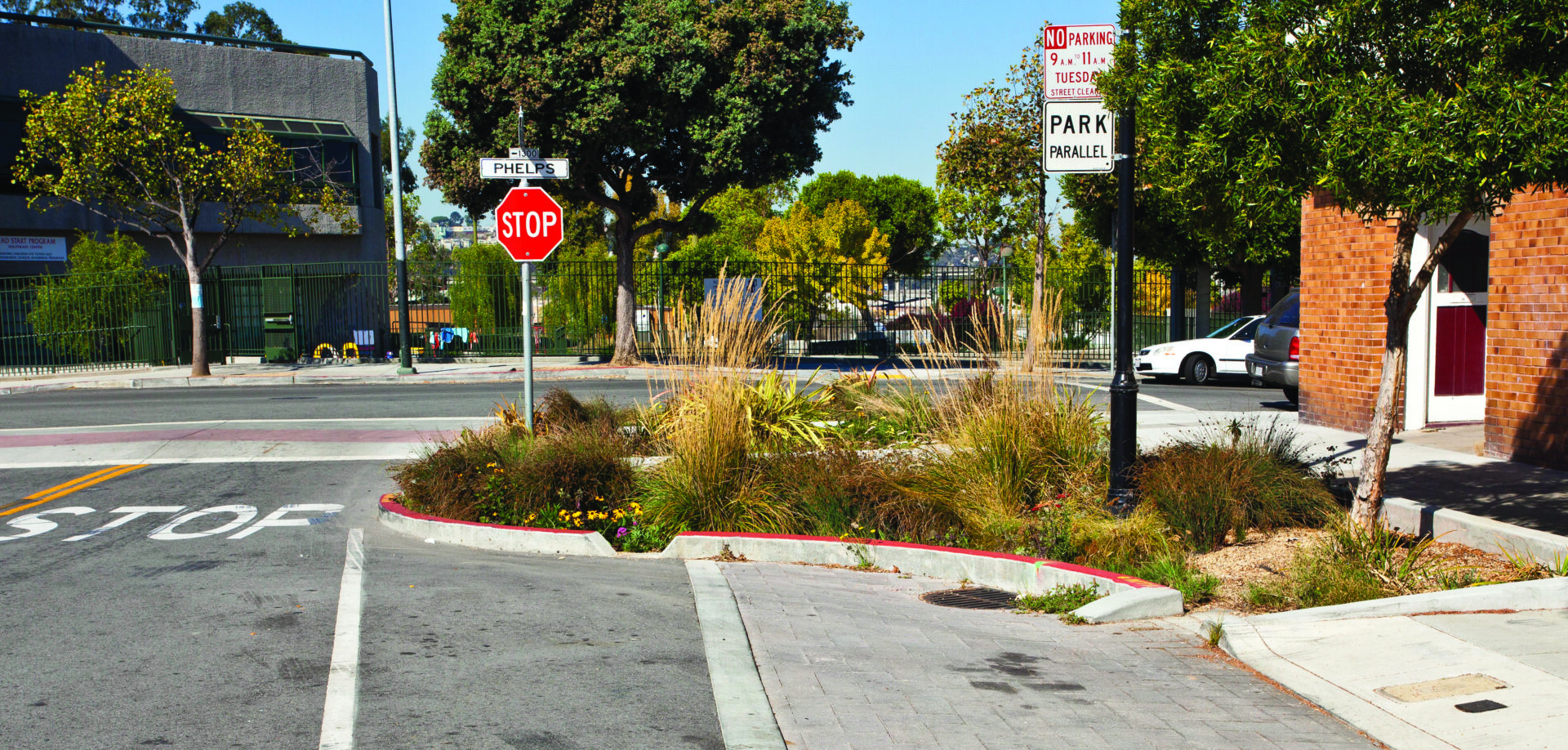 A curb extension shortens a pedestrian crossing and features a rain garden.